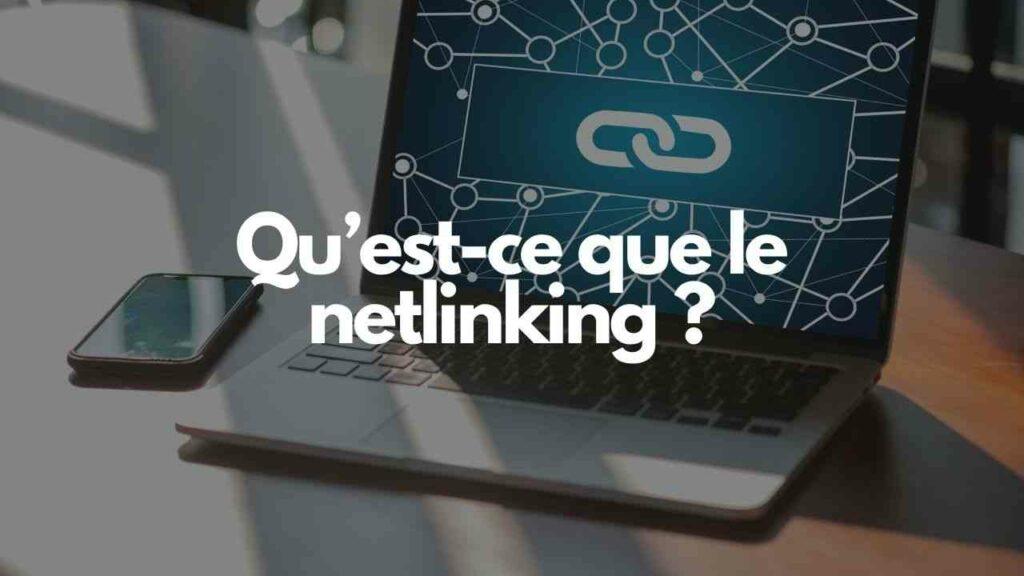 Quest ce que le netlinking